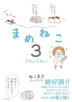 まめねこ3 こらっ!こらっ!