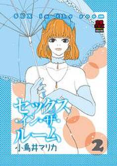 セックス・イン・ザ・ルーム