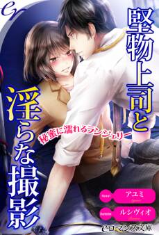 er-堅物上司と淫らな撮影 秘蜜に濡れるランジェリー