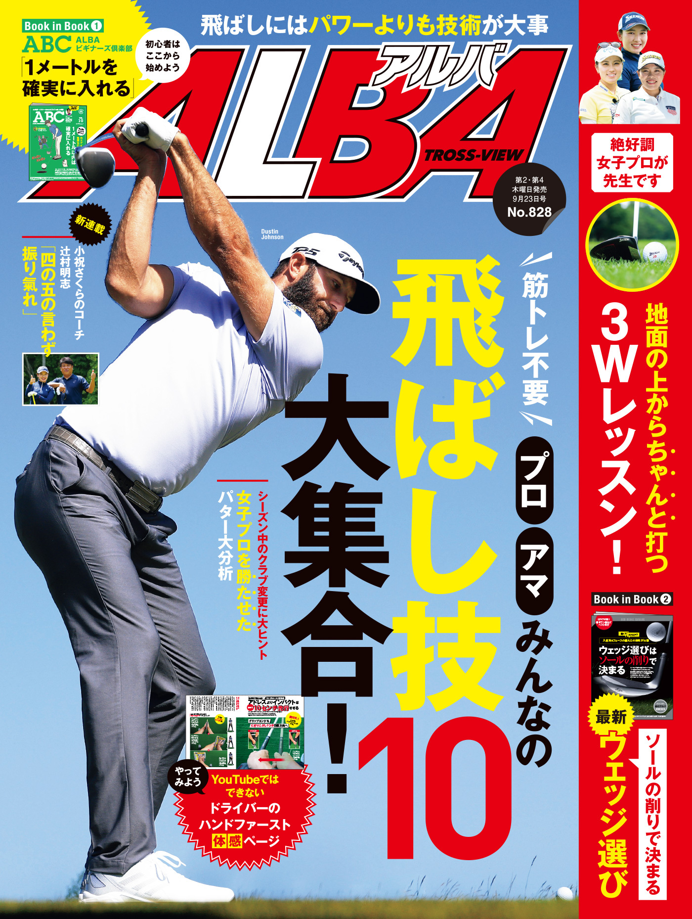 アルバトロス・ビュー  No.828