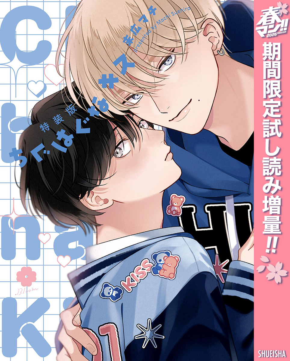 特装版 ちぐはぐなキス【電子限定描き下ろし付き】【期間限定試し読み増量】