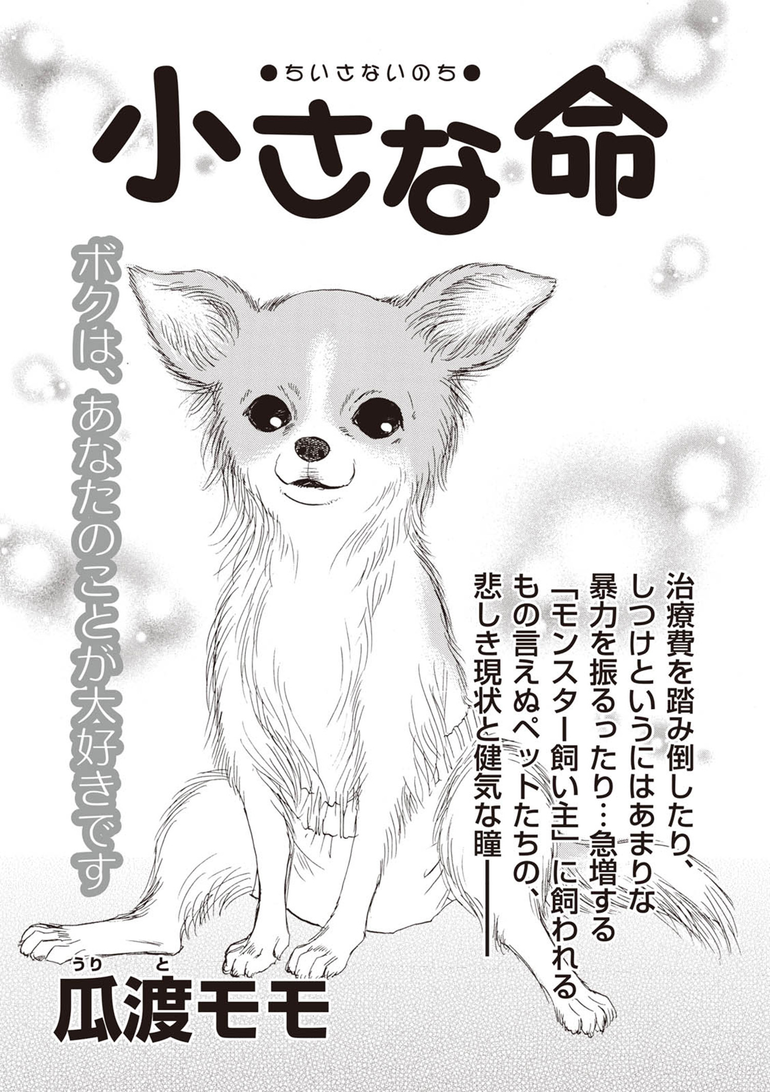 あなたの隣のモンスター主婦ＳＰ～小さな命～