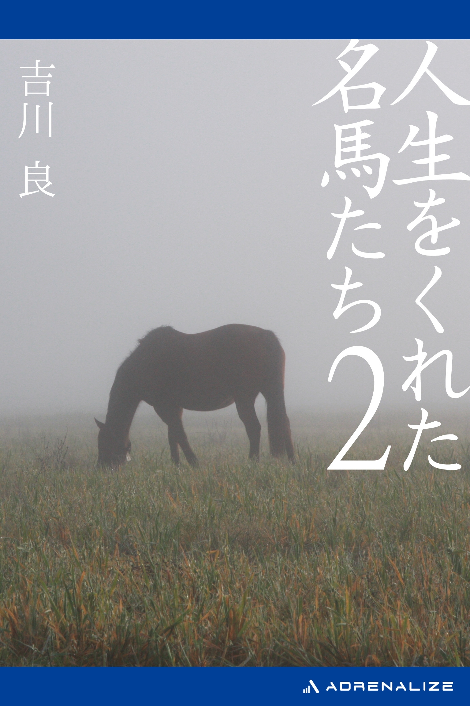 人生をくれた名馬たち