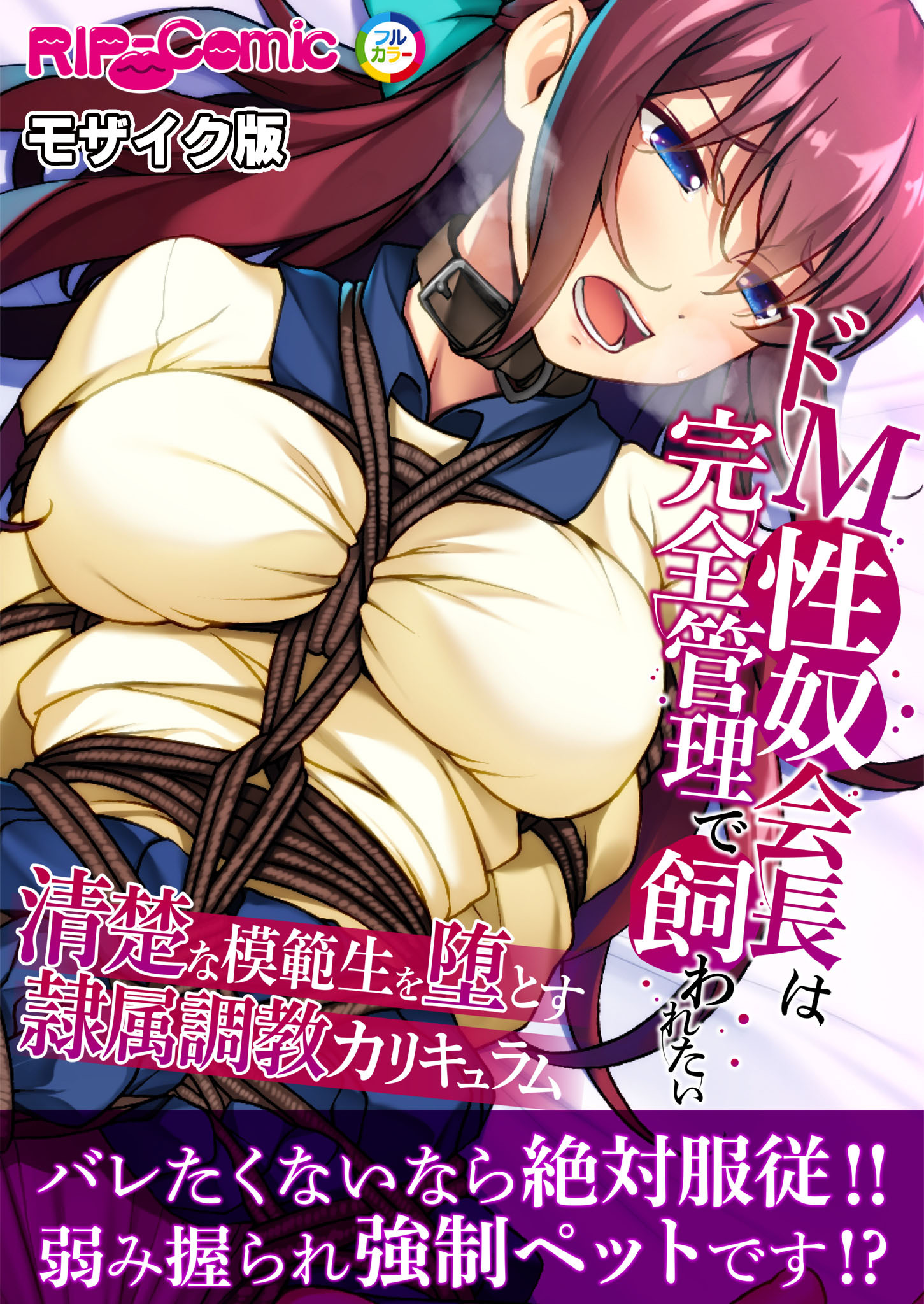 ドM性奴会長は完全管理で飼われたい ～清楚な模範生を堕とす隷属調教カリキュラム～ モザイク版