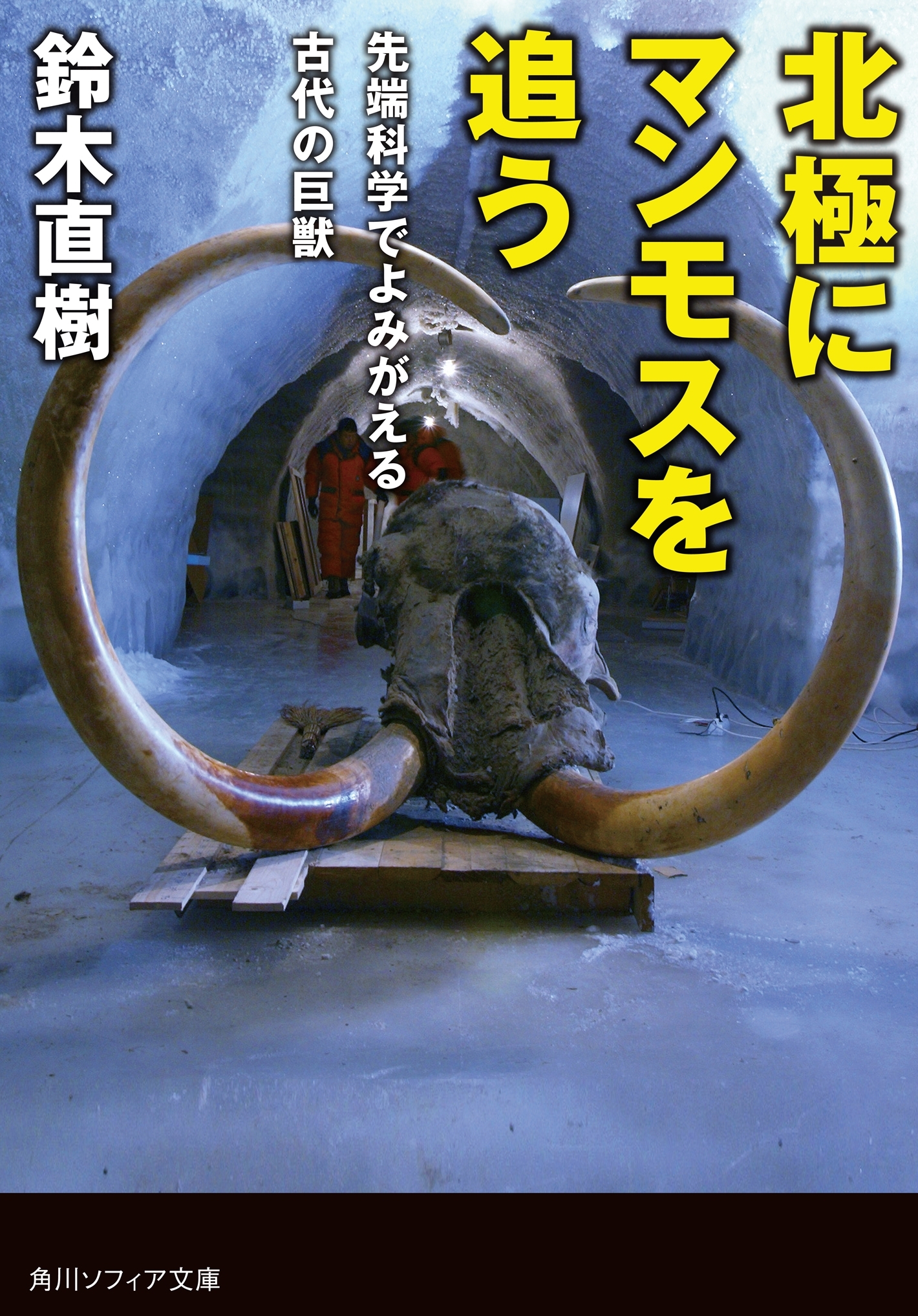 北極にマンモスを追う　先端科学でよみがえる古代の巨獣