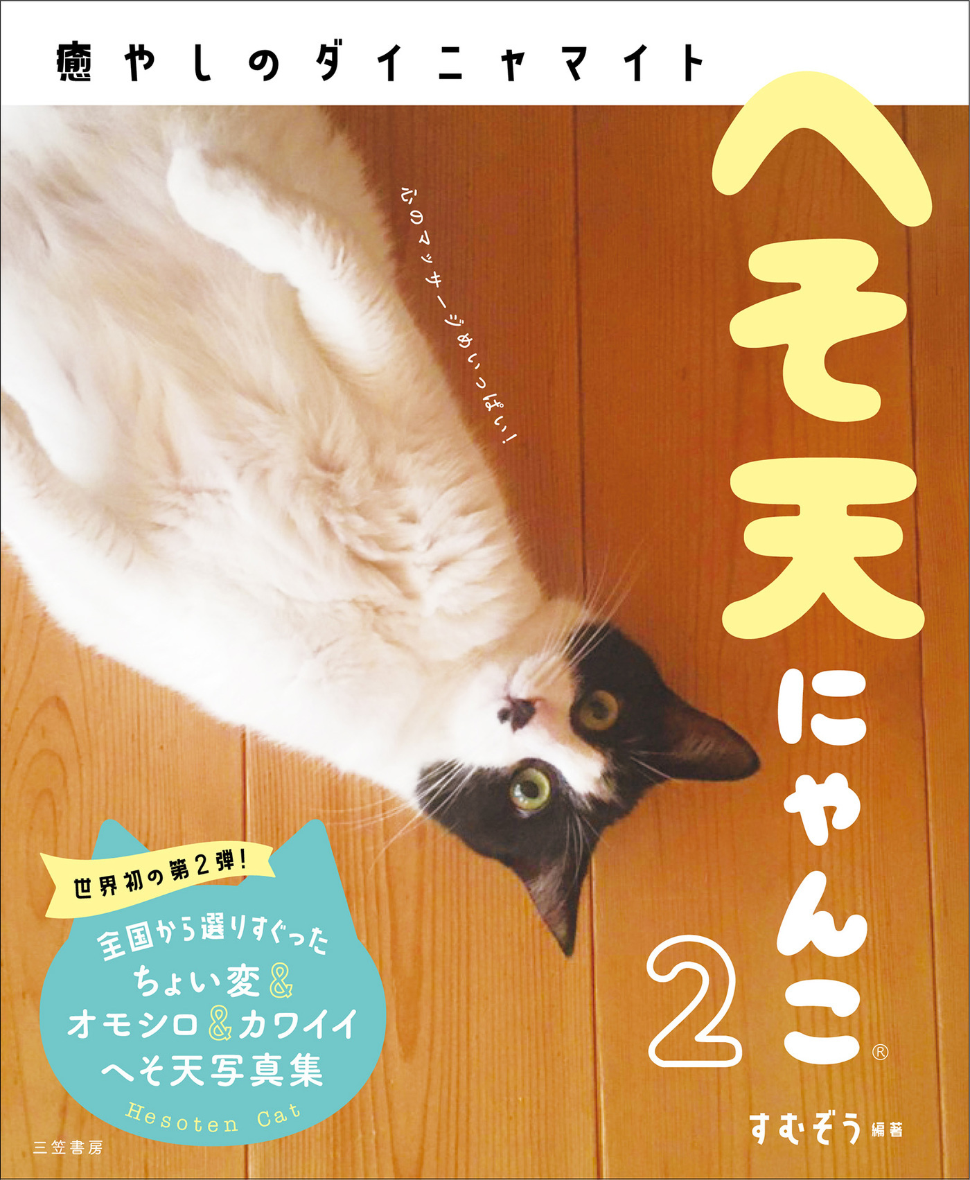 へそ天にゃんこ