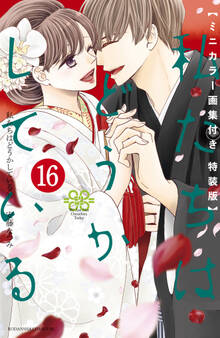 私たちはどうかしている(16) ミニカラー画集付き特装版