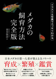メダカの飼育方法 完全版