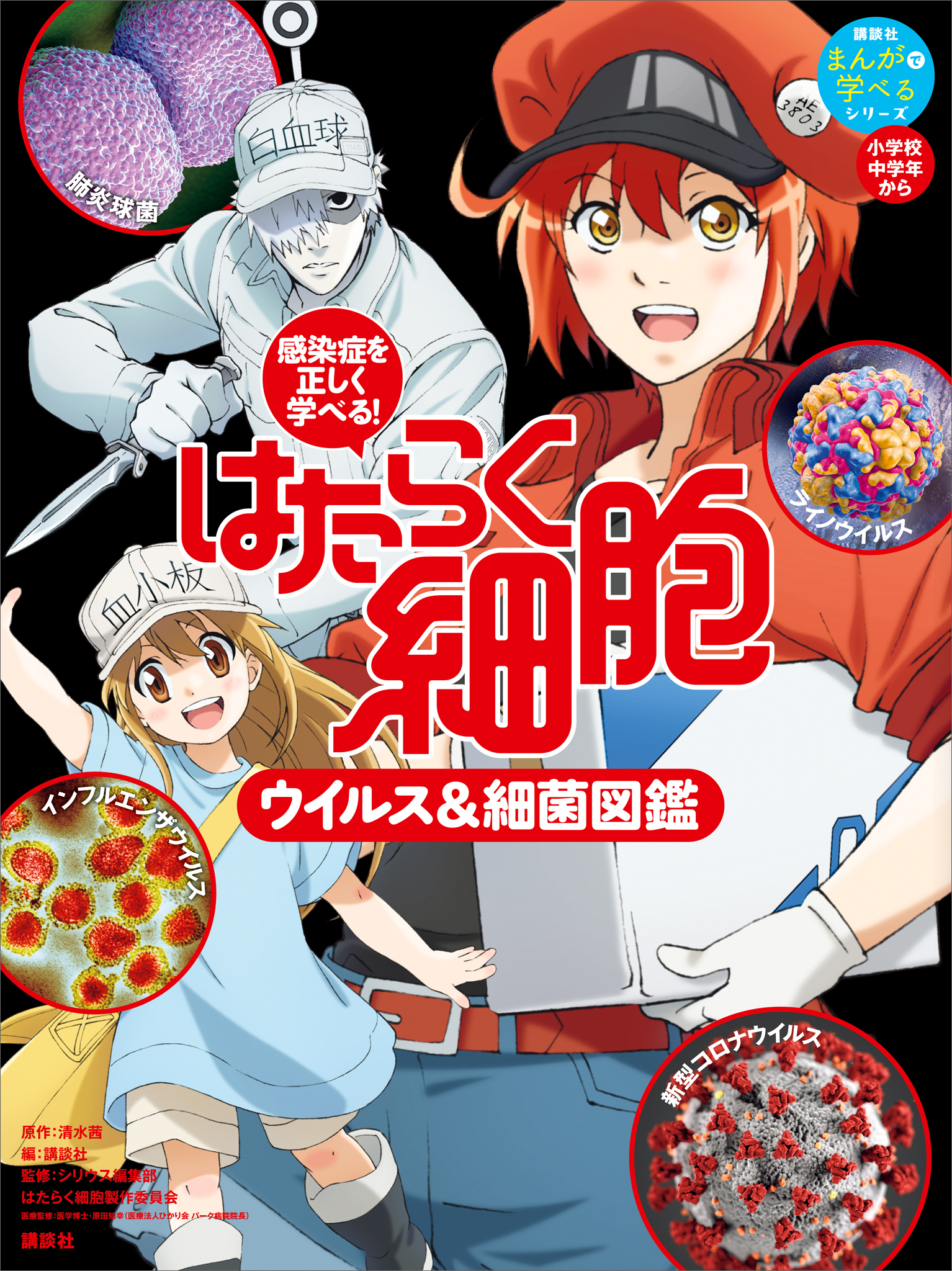 感染症を正しく学べる！　はたらく細胞　ウイルス＆細菌図鑑