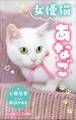 小学館ジュニア文庫 女優猫あなご