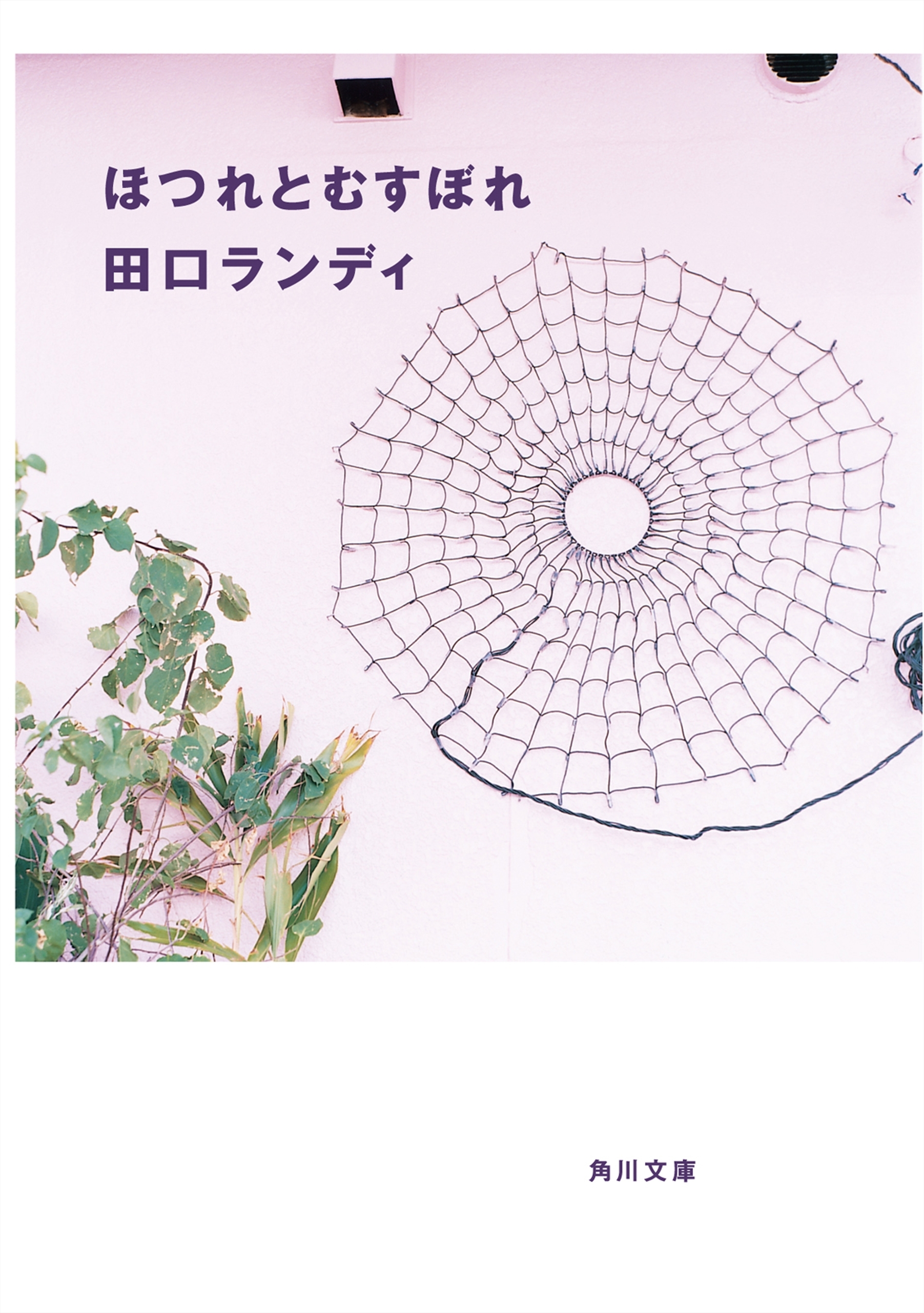 ほつれとむすぼれ