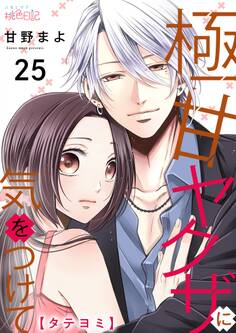 極甘ヤクザに気をつけて 25