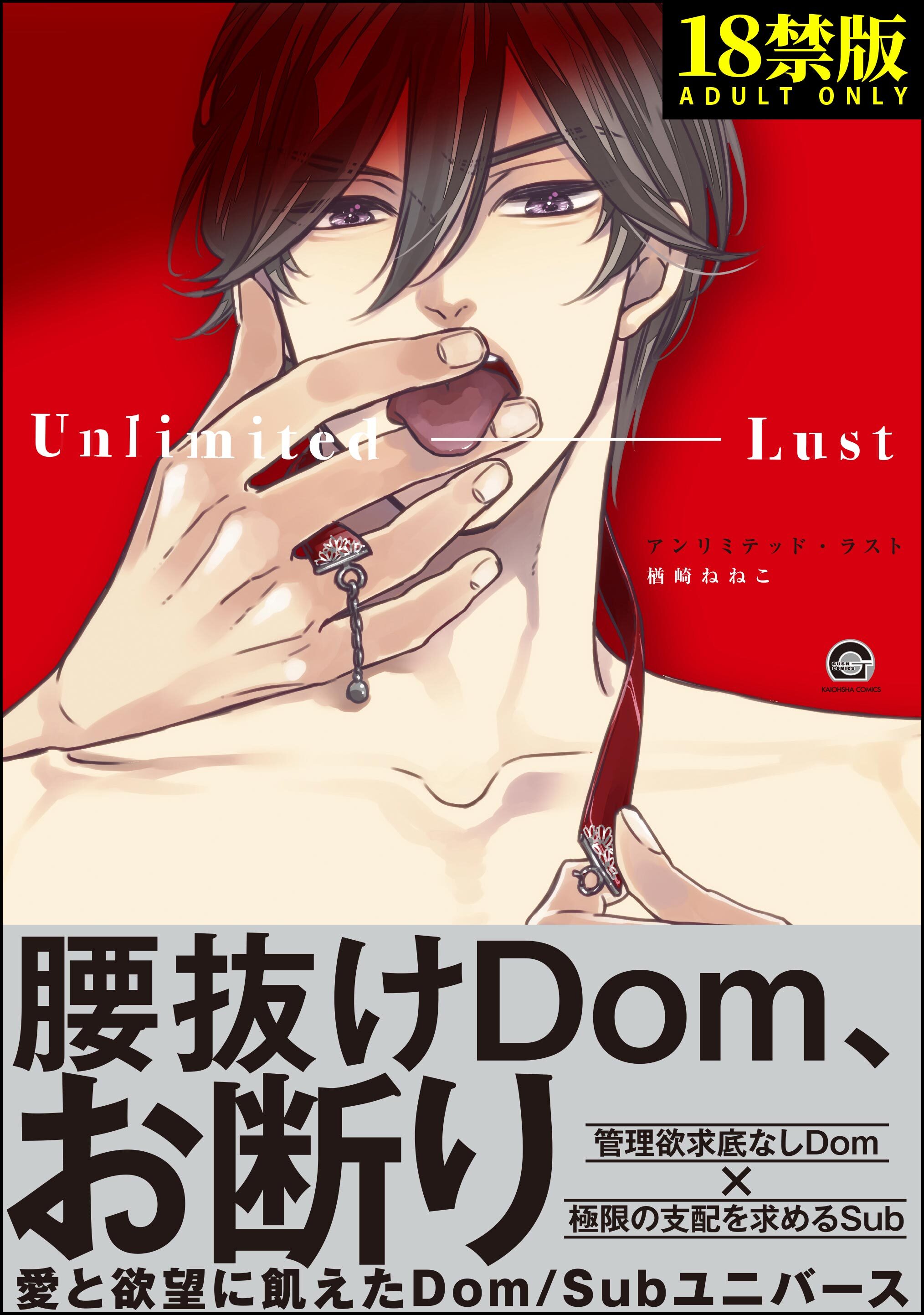 アンリミテッド・ラスト【極】