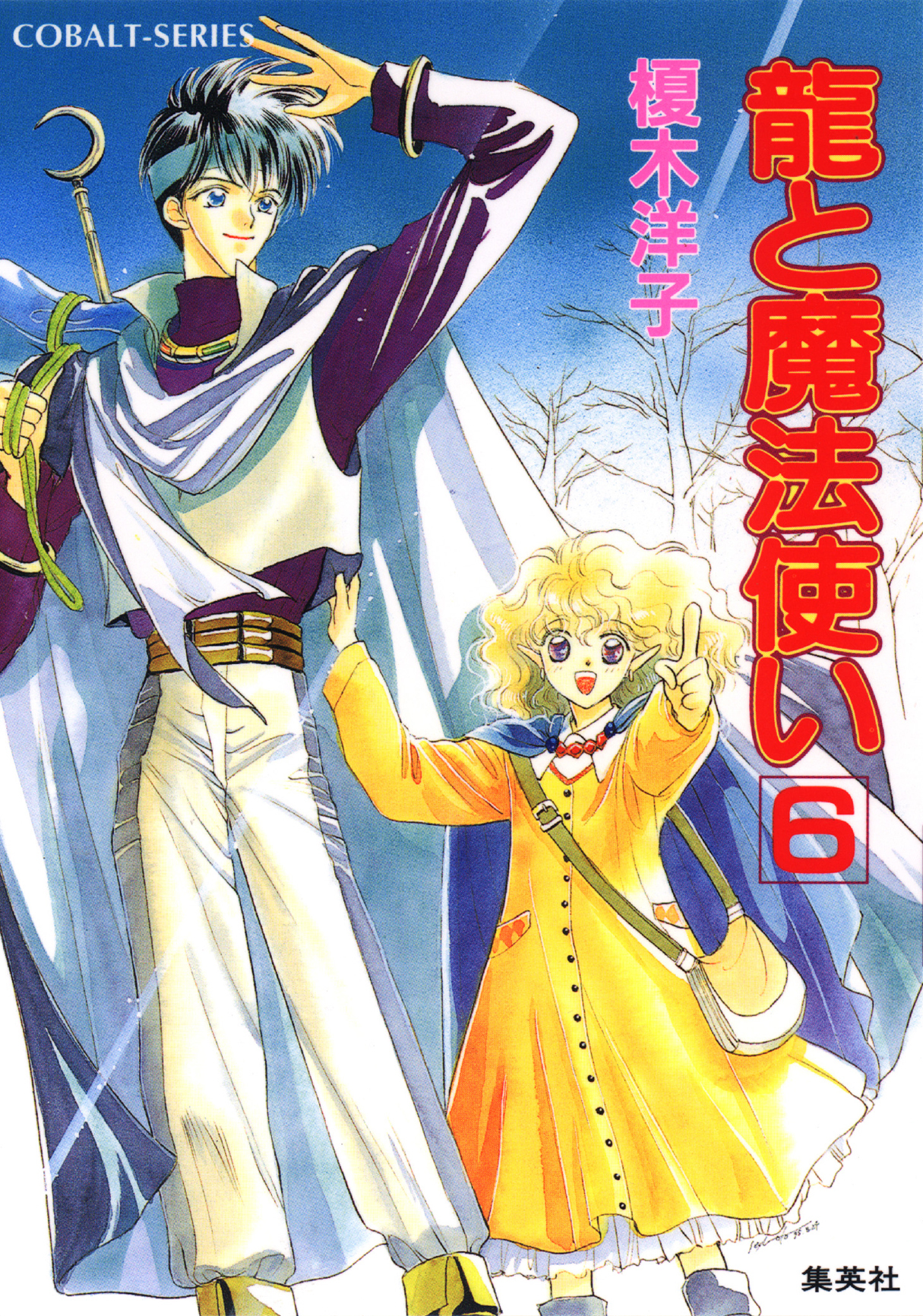 龍と魔法使い　６