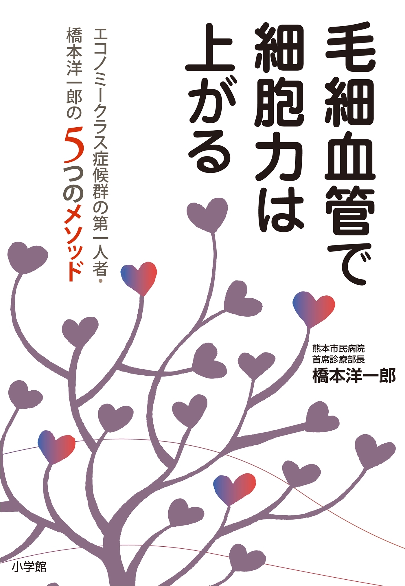 毛細血管で細胞力は上がる ～エコノミークラス症候群の第一人者・橋本洋一郎の５つのメソッド～