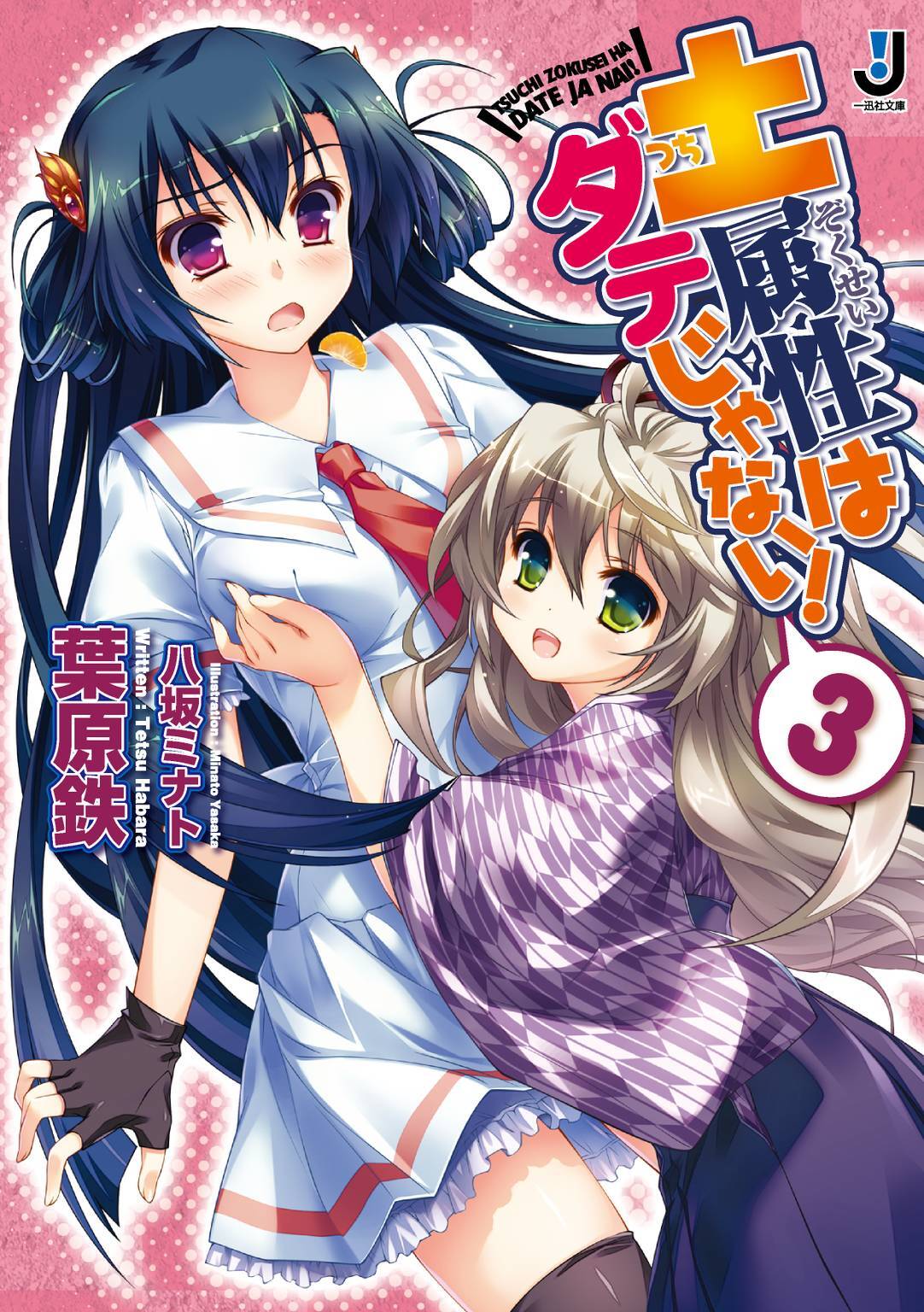 土属性はダテじゃない！ 3