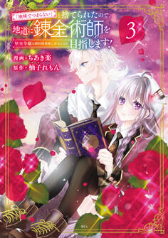 「地味でつまらない」と捨てられたので、地道に錬金術師を目指します!~堅実令嬢は婚約破棄後に幸せになる~(3)