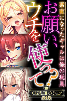 お願い、ウチを使って?~素直になったギャルは俺の玩具~【CG集コレクションBIG】
