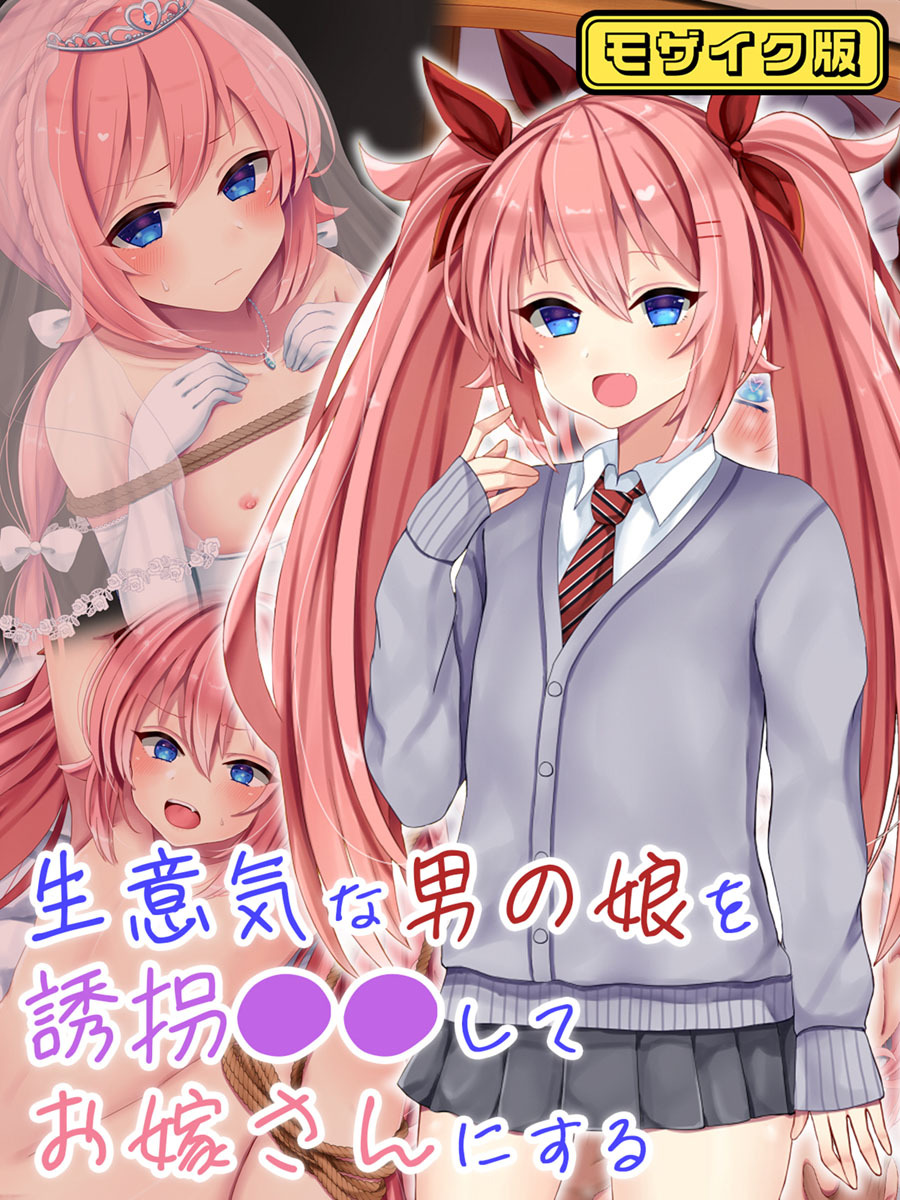 生意気な男の娘を誘拐●●してお嫁さんにする モザイク版