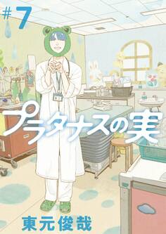 プラタナスの実 7