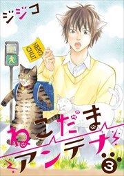 ねこだまアンテナ3