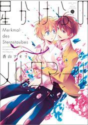 星かけらのメルクマール