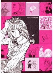 さちみりほ初期作品集