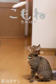 こもね~生後3か月~