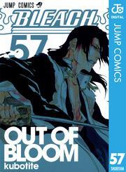 BLEACH モノクロ版 57