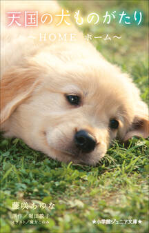 小学館ジュニア文庫 天国の犬ものがたり~HOME ホーム~
