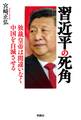 習近平の死角 独裁皇帝は間違いなく中国を自滅させる