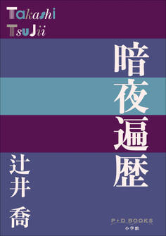 P+D BOOKS 暗夜遍歴