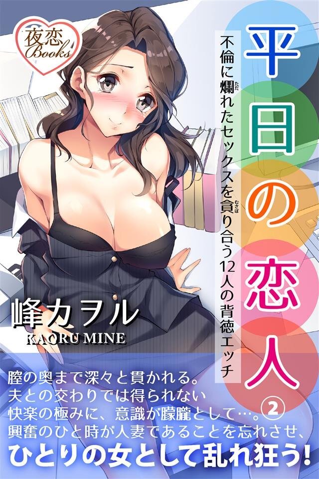 実録 平日の恋人 2 不倫に爛れたセックスを貪り合う12人の背徳エッチ