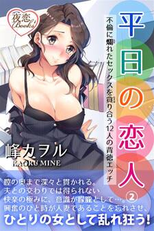 実録 平日の恋人 2 不倫に爛れたセックスを貪り合う12人の背徳エッチ
