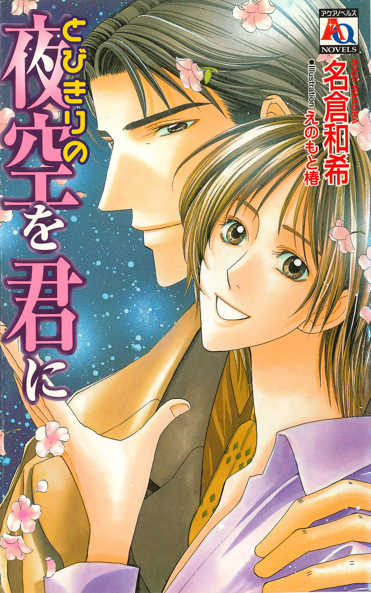 とびきりの夜空を君に