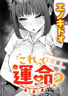 これって運命?