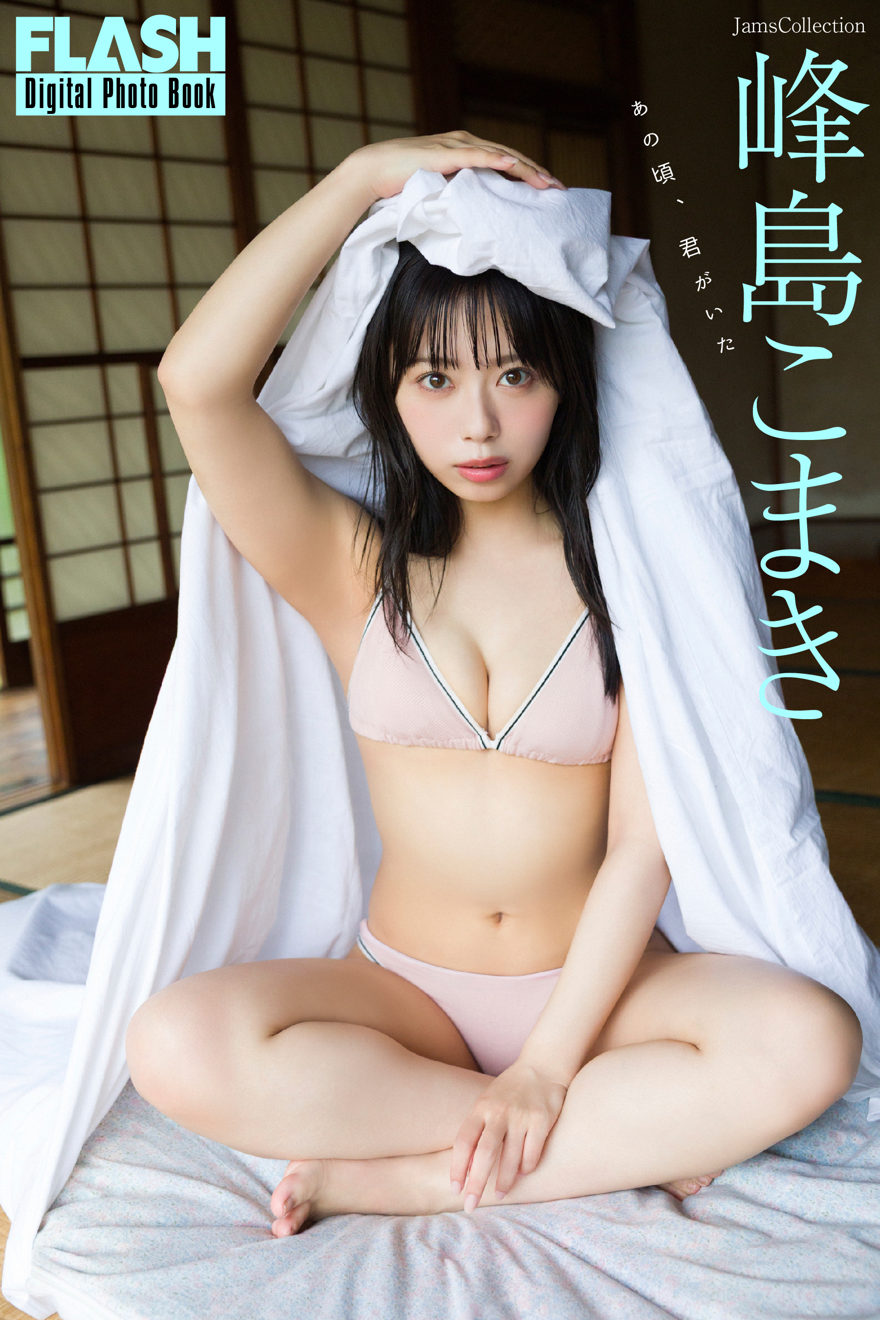 FLASHデジタル写真集　峰島こまき　あの頃、君がいた
