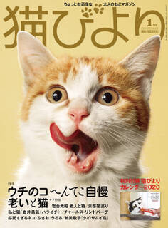 猫びより2020年1月号 Vol.109