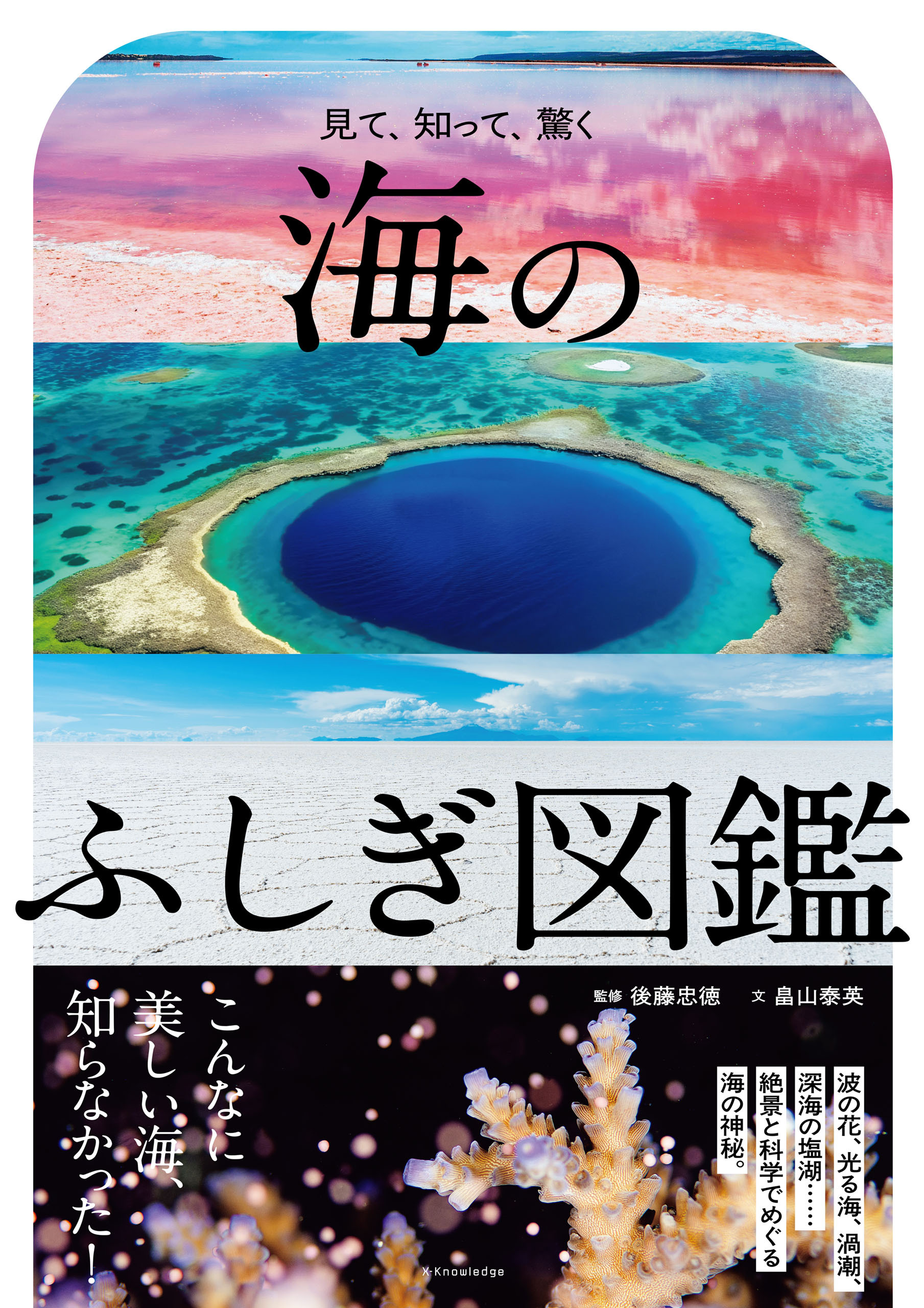 海のふしぎ図鑑