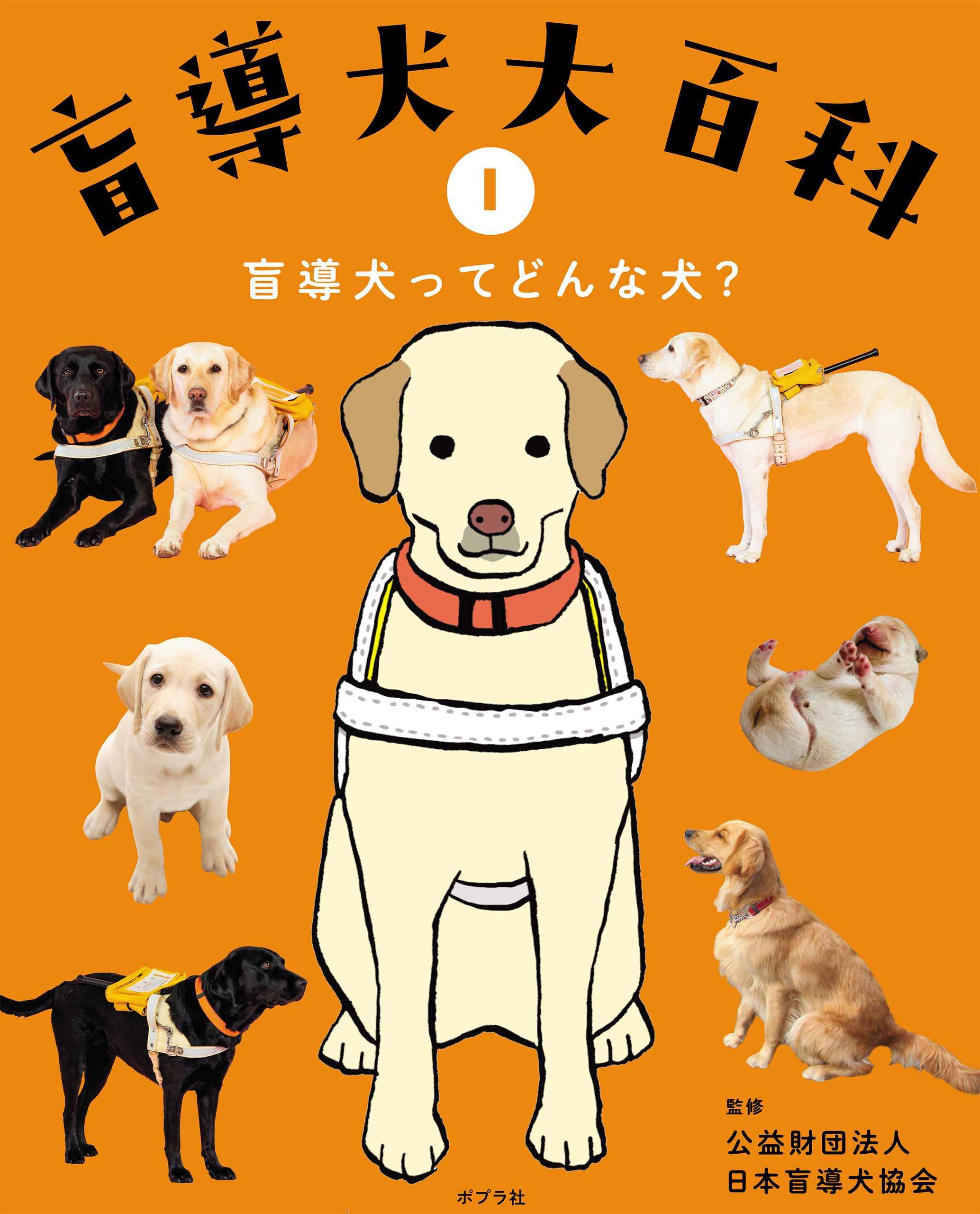 盲導犬ってどんな犬？１　盲導犬大百科