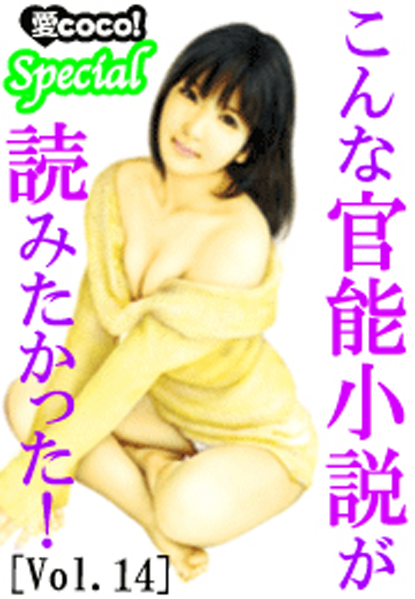 こんな官能小説が読みたかった！vol.14