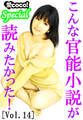 こんな官能小説が読みたかった!vol.14