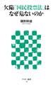 欠陥「国民投票法」はなぜ危ないのか