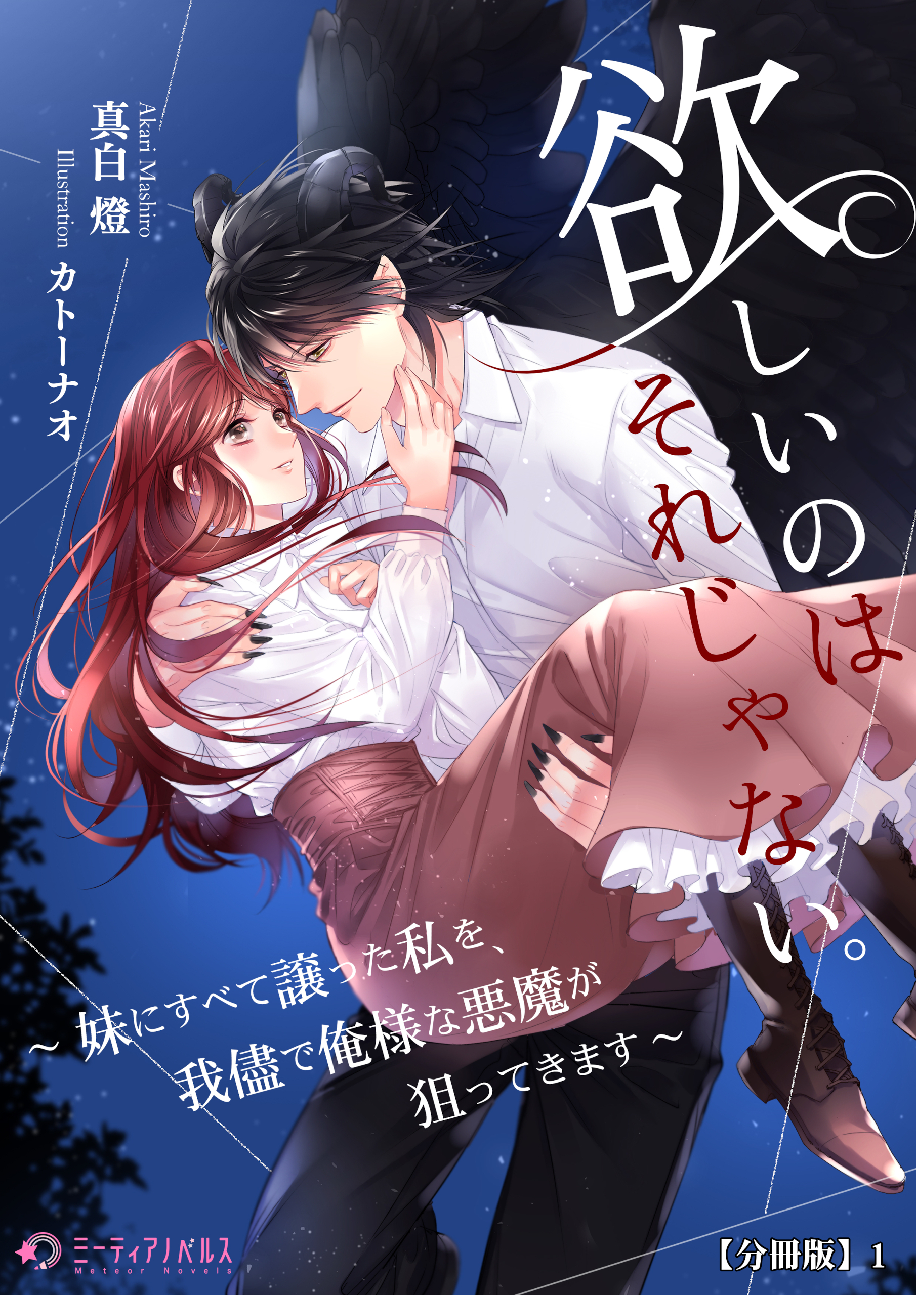 欲しいのはそれじゃない。～妹にすべて譲った私を、我儘で俺様な悪魔が狙ってきます～【分冊版】1
