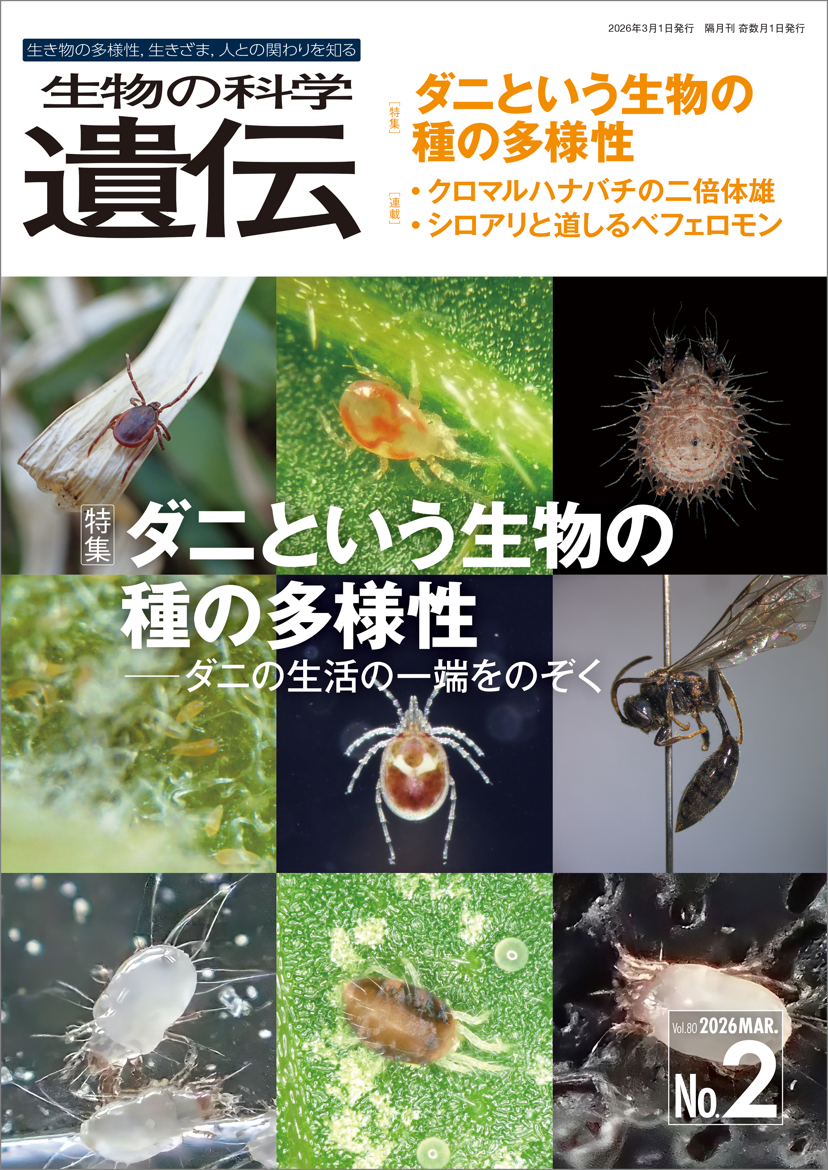 生物の科学 遺伝 2026年3月発行号 Vol.80 No.2