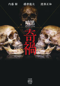 暗黒トライアングル 奇禍