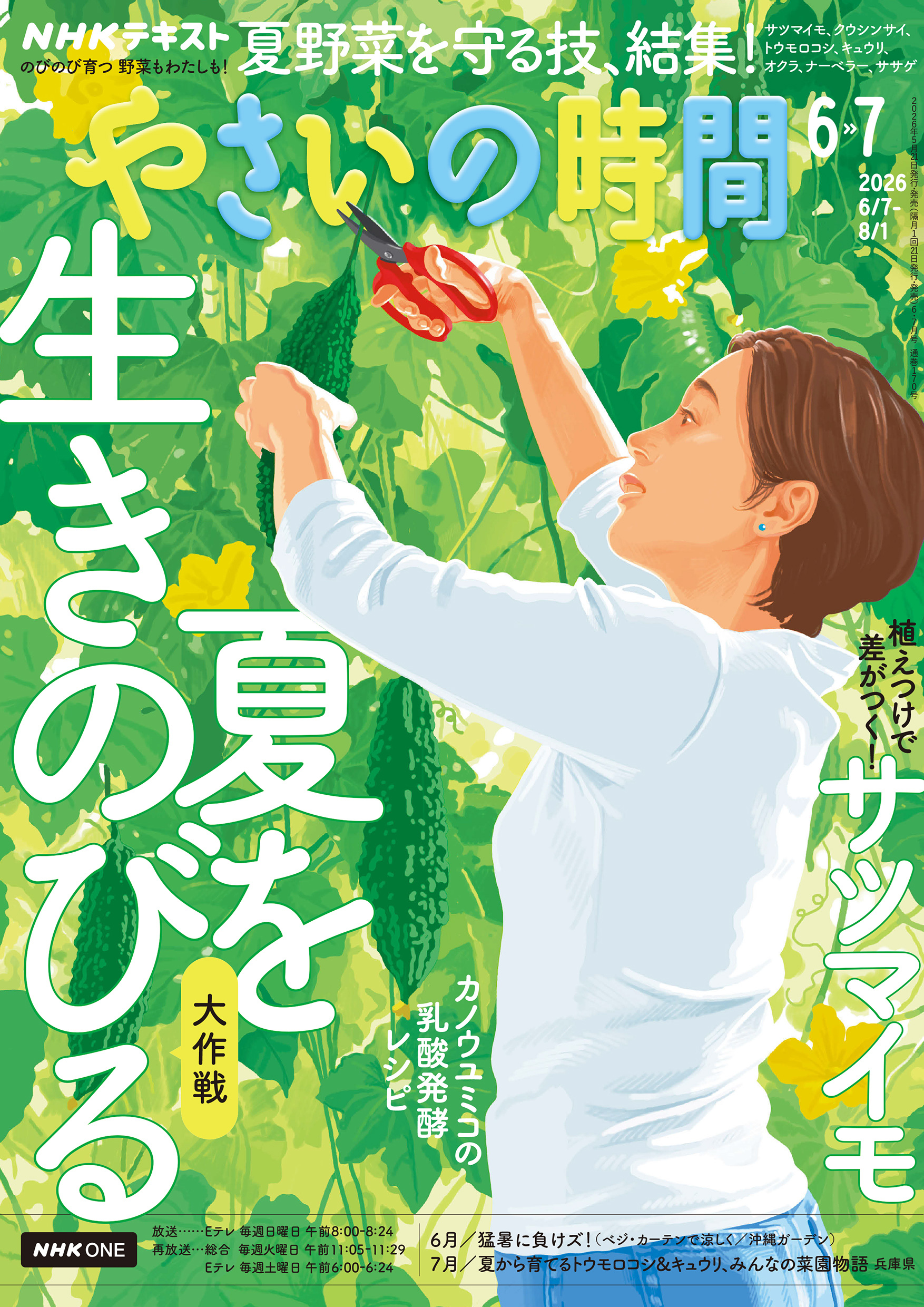 ＮＨＫ 趣味の園芸 やさいの時間
