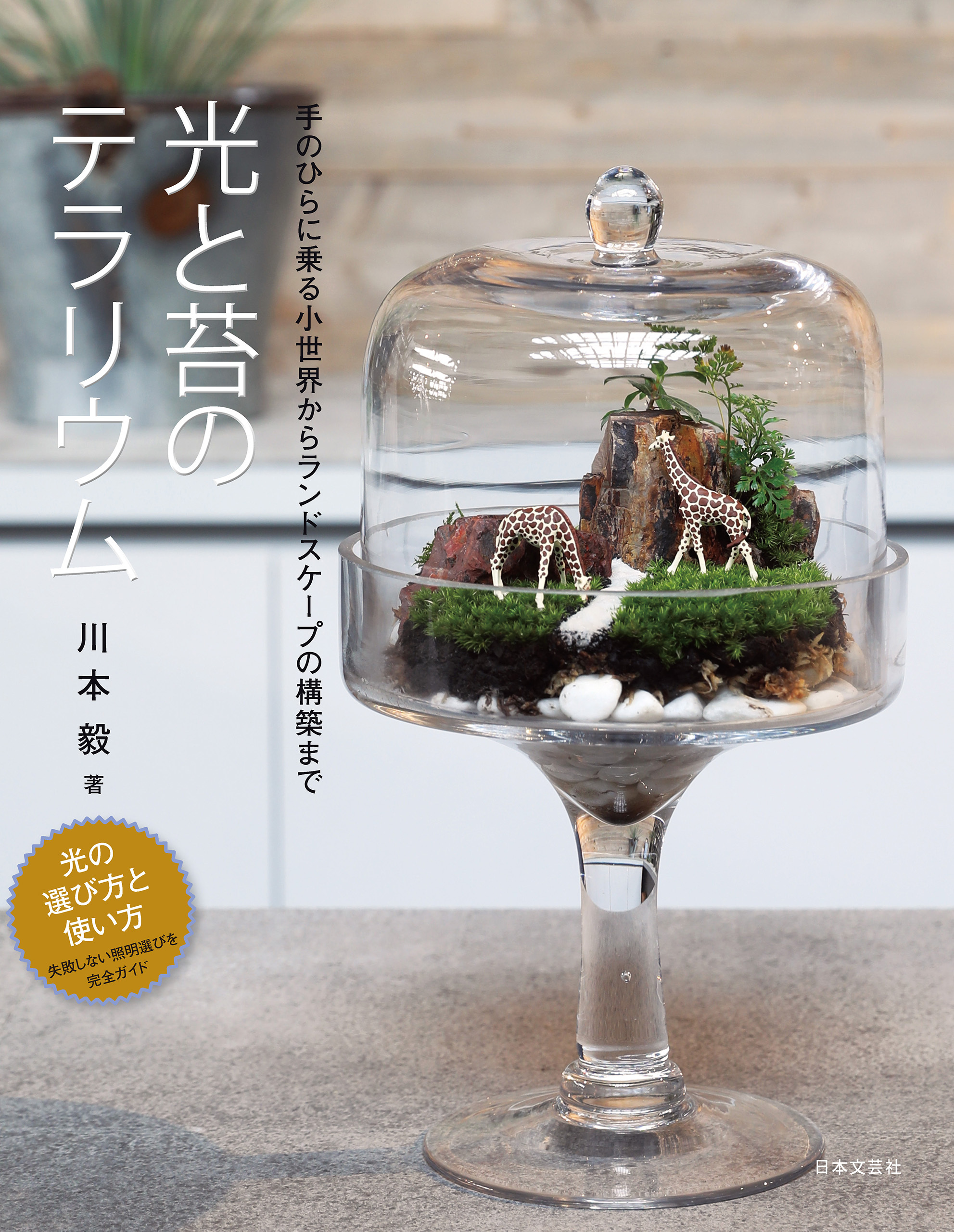 光と苔のテラリウム