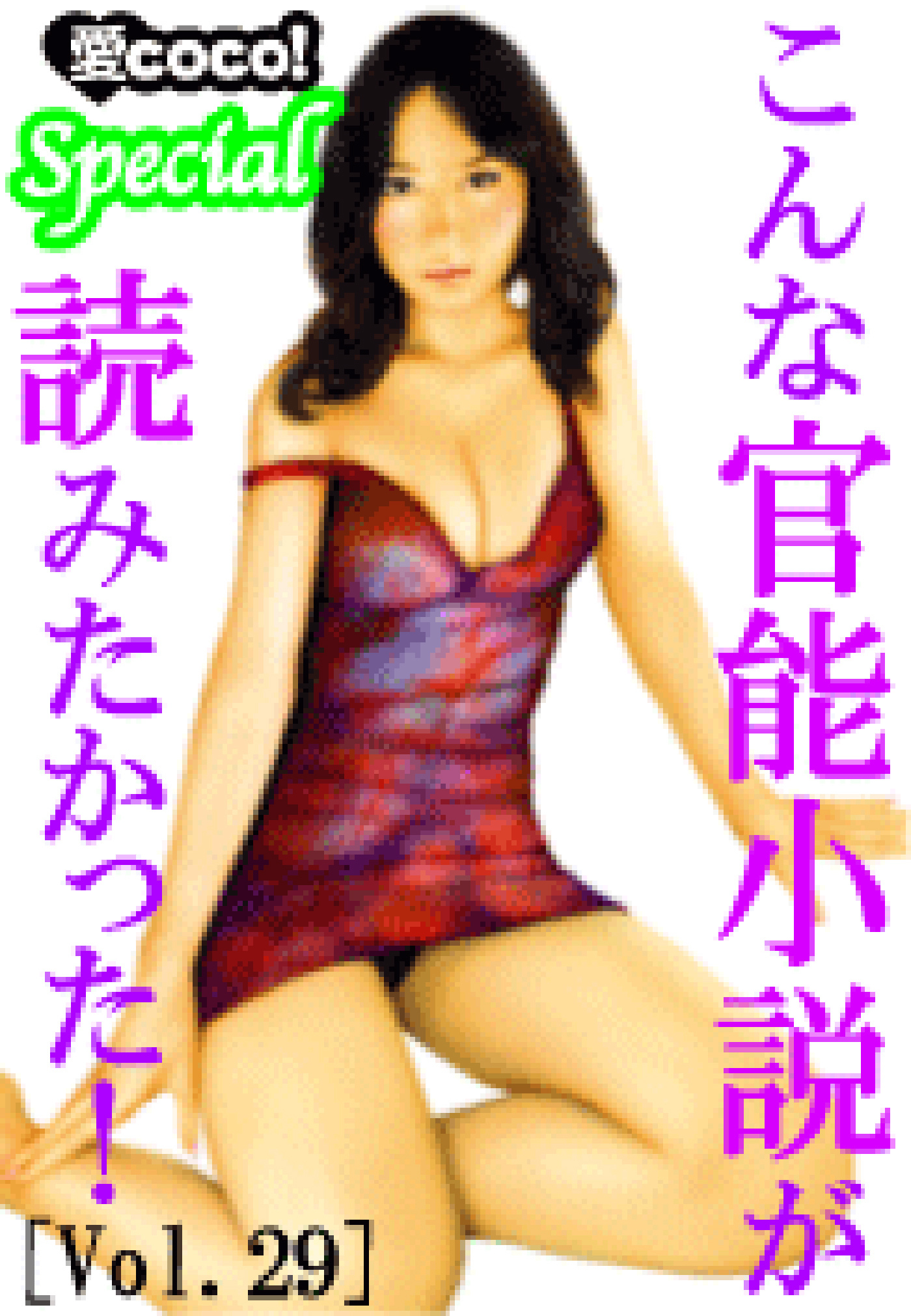 こんな官能小説が読みたかった！vol.29