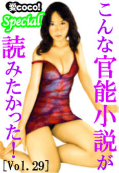 こんな官能小説が読みたかった!vol.29